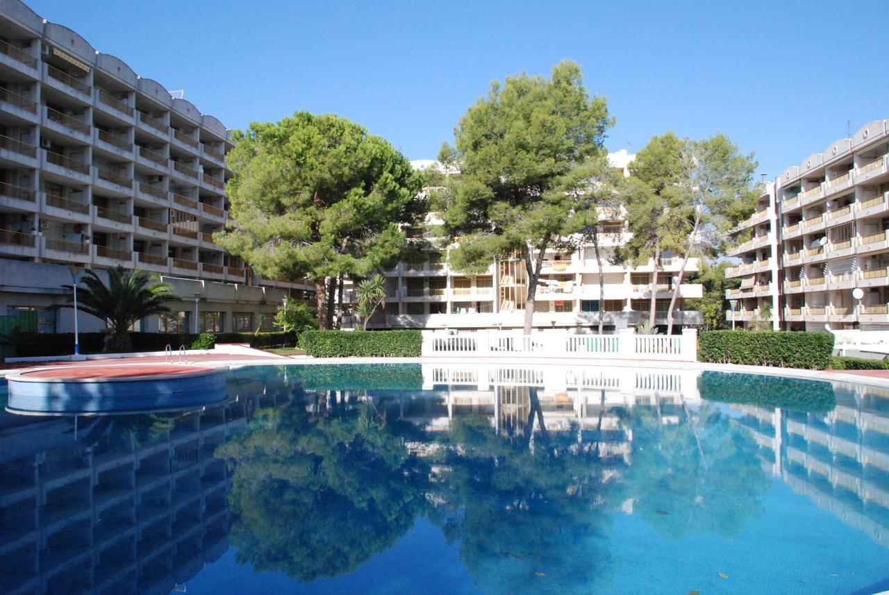 Cataluna Palmyra Apartamento